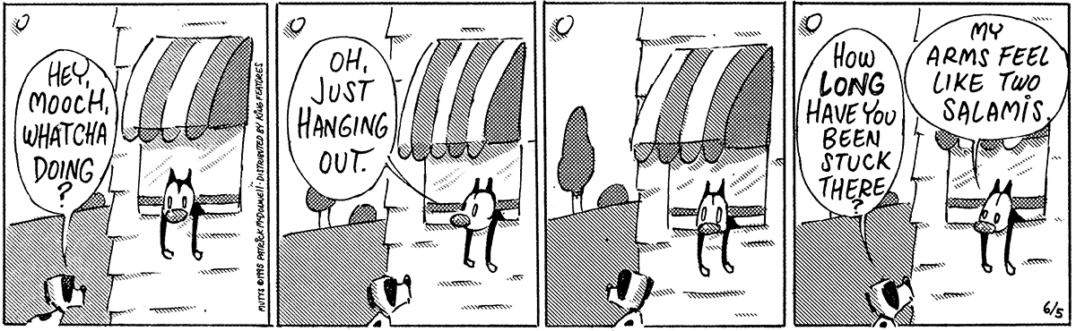June 5 1995, Daily Comic Strip
