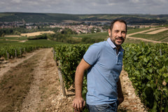 Petit Chablis, 2023