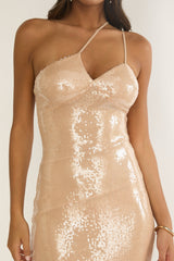 Roselyn One-Shoulder Sequin Maxi Dress Latte