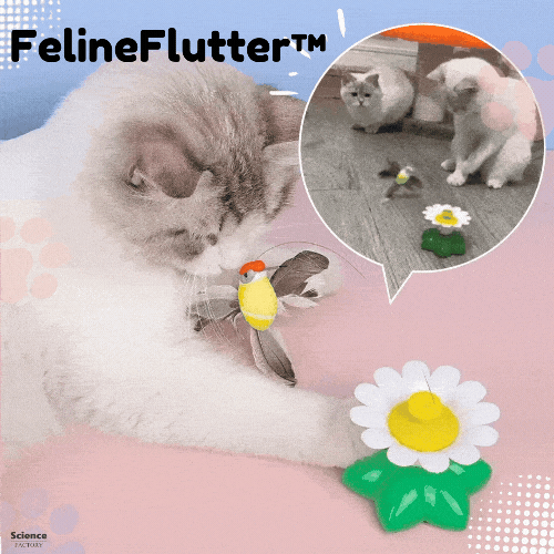FelineFlutter™ Jouet Automatique Rotatif avec Oiseau et Papillon pour Chats