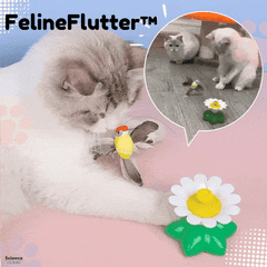FelineFlutter™ Jouet Automatique Rotatif avec Oiseau et Papillon pour Chats