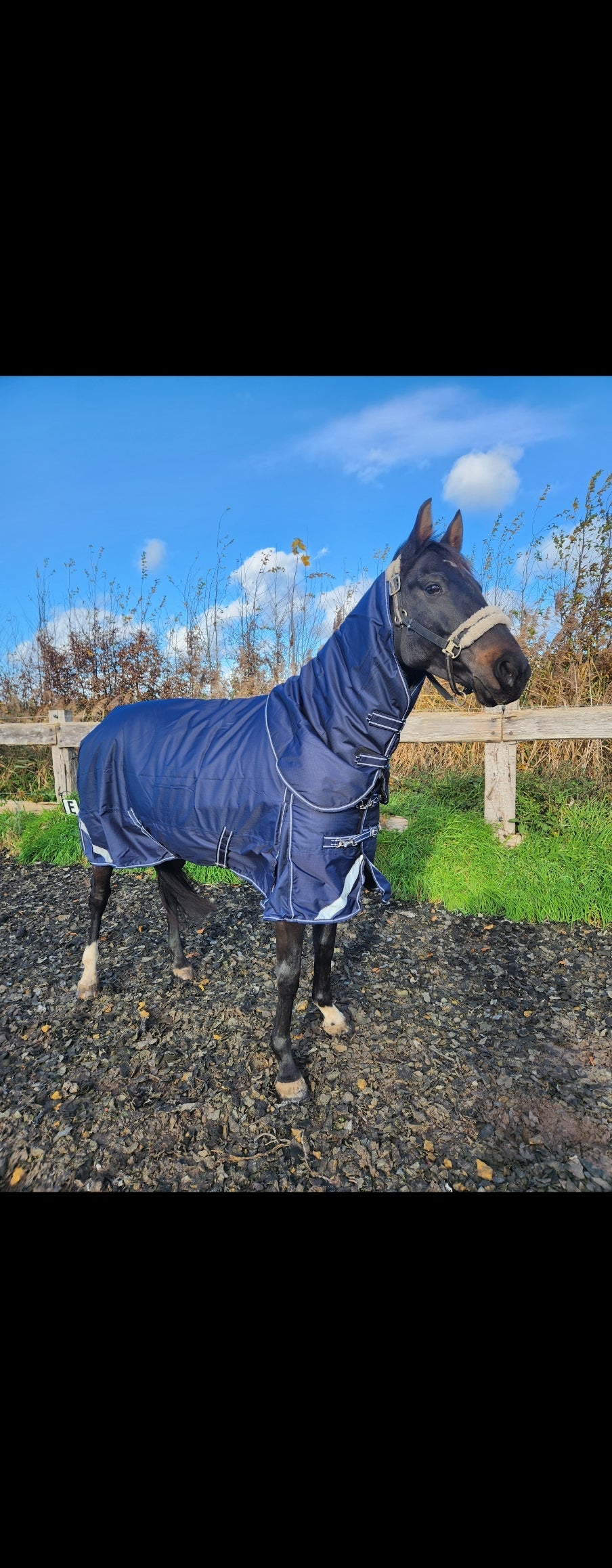 Profirider outdoordeken 300 gram met afneembare hals